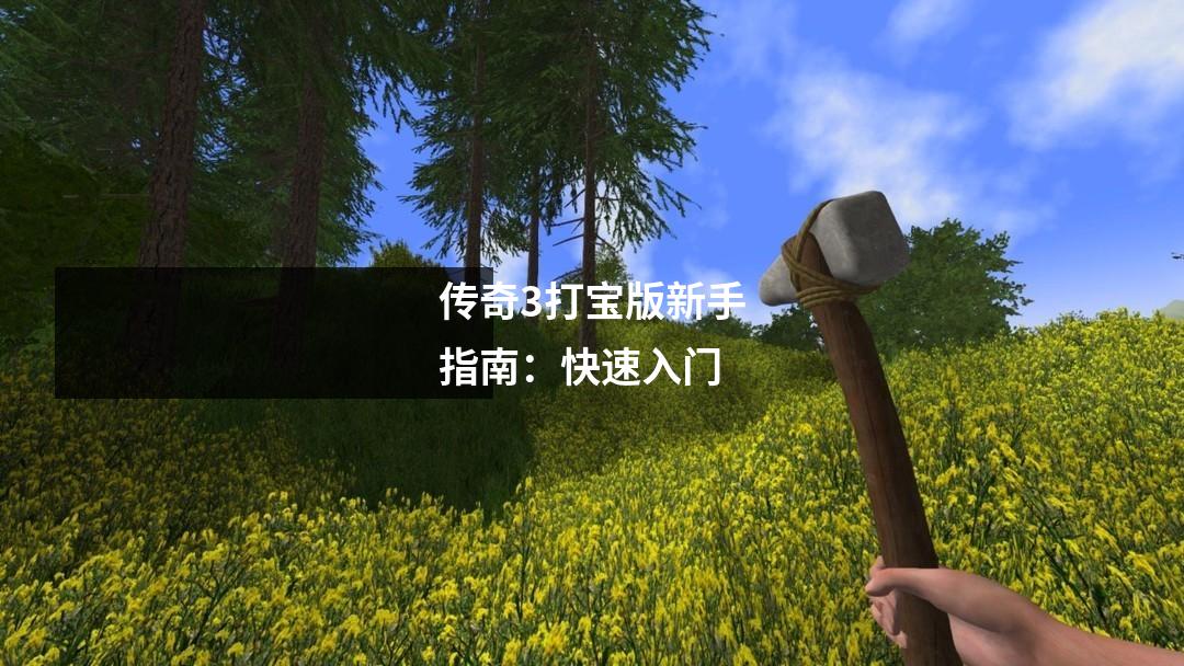 传奇3打宝版新手指南：快速入门