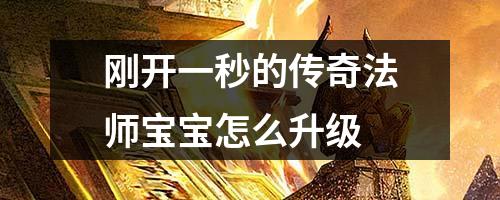 刚开一秒的传奇法师宝宝怎么升级