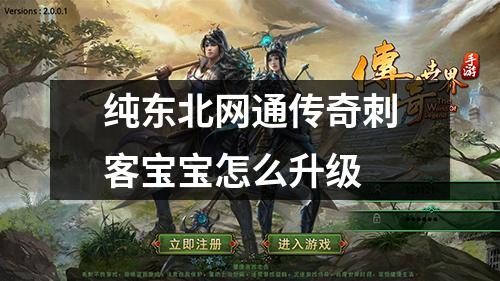 纯东北网通传奇刺客宝宝怎么升级