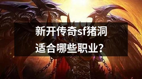 新开传奇sf猪洞适合哪些职业?