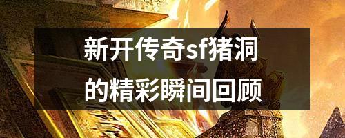 新开传奇sf猪洞的精彩瞬间回顾