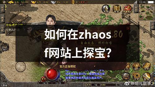 如何在zhaosf网站上探宝?
