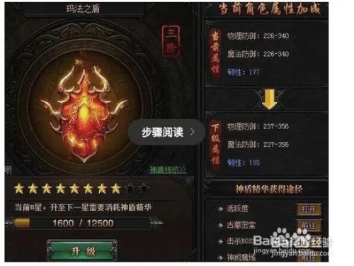 升级玛法盾载图